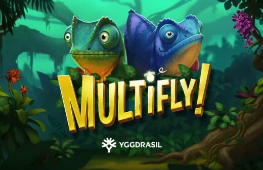 Multifly