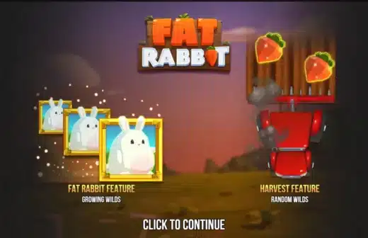 Fat Rabbit
