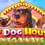 the dog house megaways