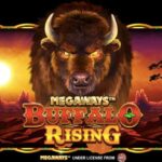 buffalo rising logo 3