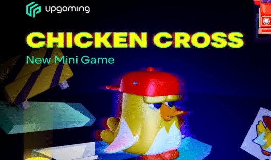 Notre test et avis complet sur le jeu du poussin Chicken Cross