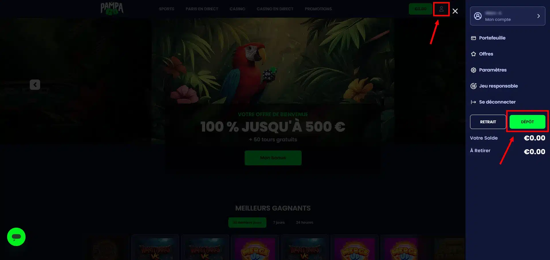 PampaGo Casino : notre avis 16 accès aux dépôts