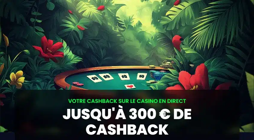PampaGo Casino : notre avis 6 cashback live casino de pampago