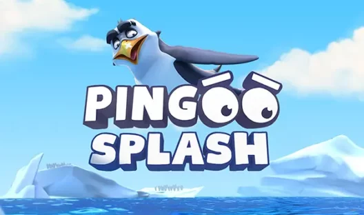 Pingoo Splash Avis : Jouez gratuitement