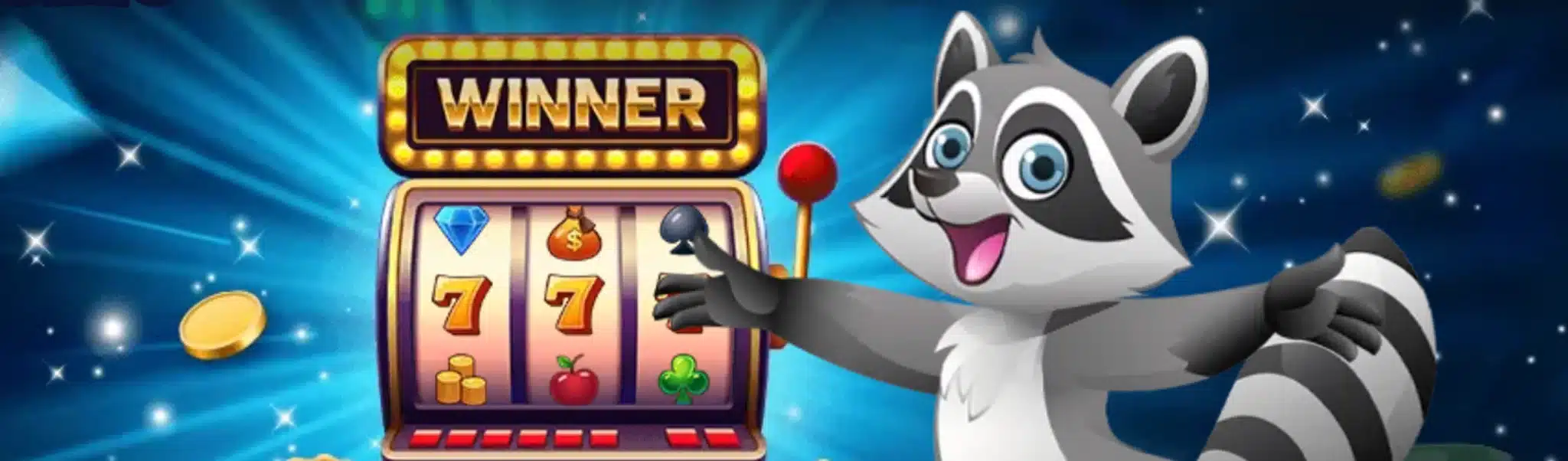 Stupid Casino : notre avis 2026